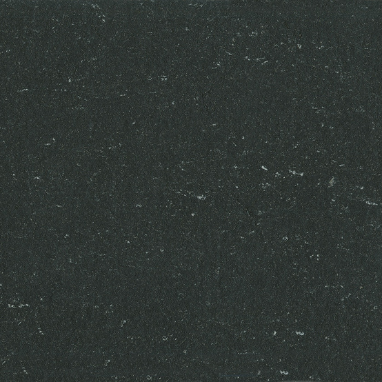 Натуральный линолеум Colorette 2.5 0081 Private Black