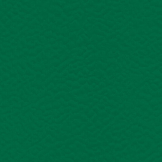 Спортивное ПВХ-покрытие TARAFLEX® EVOLUTION 6557 Forest
