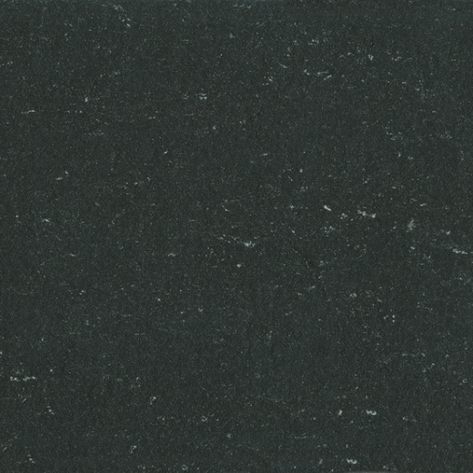 Натуральный линолеум Colorette 2.5 0081 Private Black